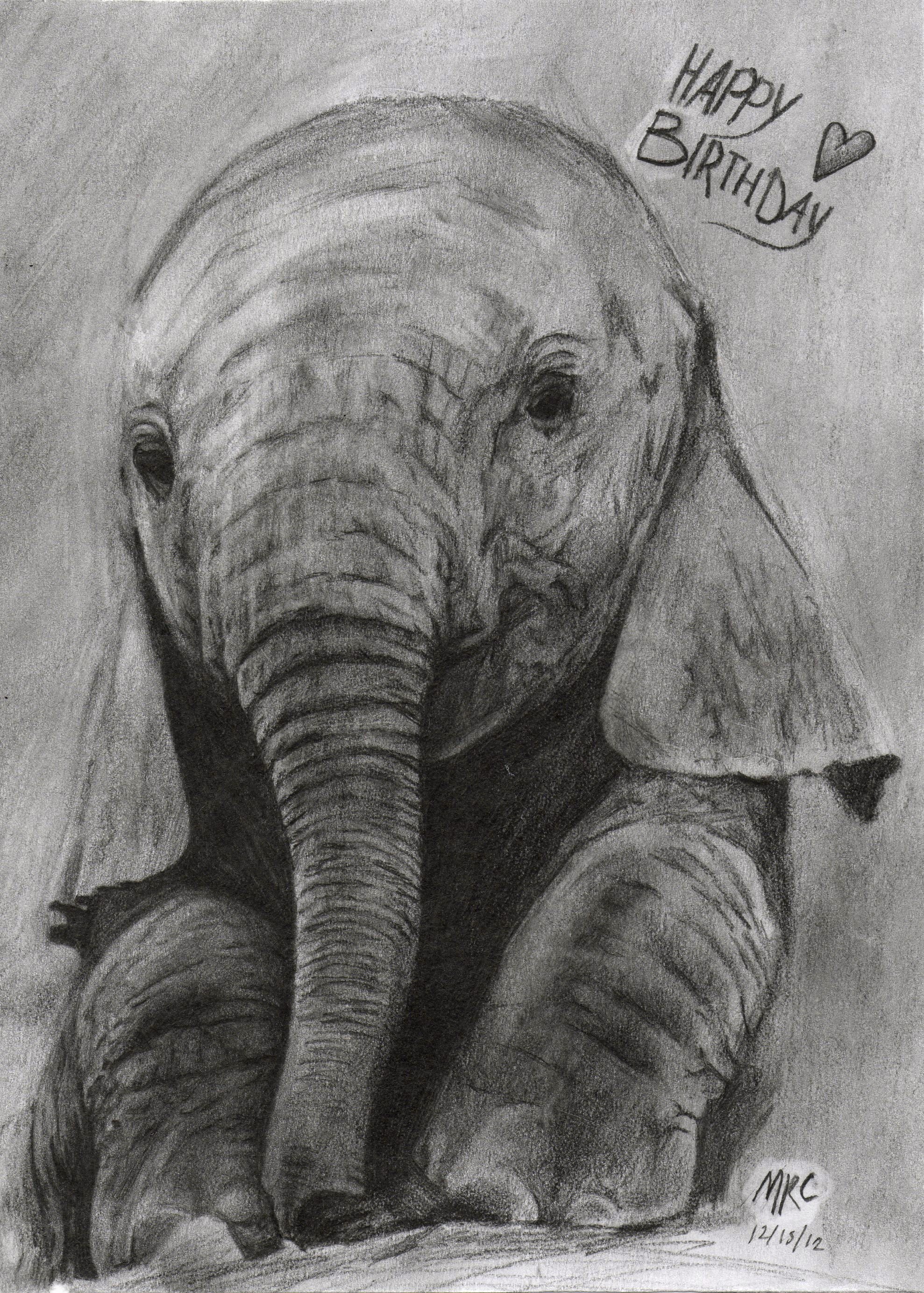 elephant010.jpg